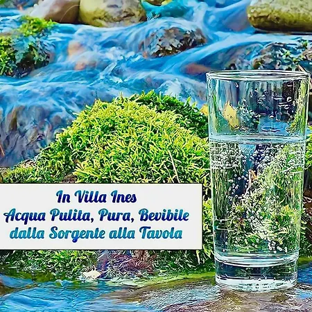 Amalfi ~ Indipendente Con Bagno Interno Per Max 3/4 Persone * Palinuro